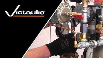 Victaulic Series 769 FireLock NXT™ Preaction Valve System to Service Installation Instructions