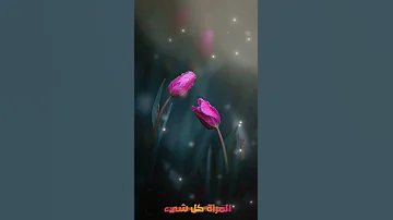 ما هي ايام تجديد السحر ادخل لكي تستفيد 