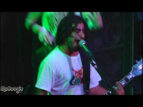 Rebelution - "Safe and Sound" - Live at the Gothic Theater in Denver