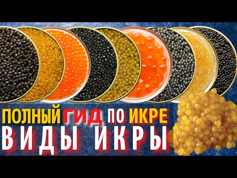 Самый Полный Гид по Икре | Разновидности Черной и Красной Икры