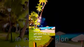 The Universal Truth of Love ❤️🌌 #shorts #explore #tiktokviral #trendingshorts #shortsfeed