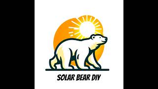 EcoWorthy 100watt Bifacial Solar panel Review