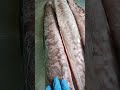 Конгрио свежемороженая