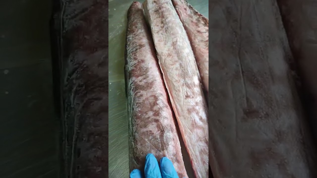 Конгрио свежемороженая