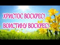 Пасхальное Поздравление! Христос Воскрес! Воистину Воскрес!