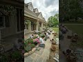 You won’t believe this porch becomes a rose retreat #garden #makeover