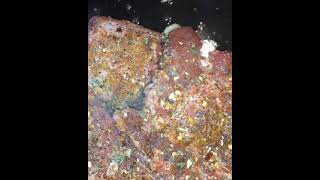 Kristens Kitchen Llc Oxtails