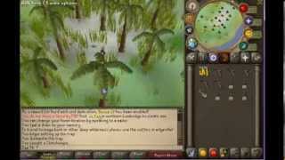Soulsplit 2 Hunter Guide