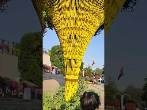 Miracle Garden Dubai entry | Best place to visit in Dubai| must visit tourist place in Dubai |