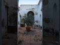 A forgotten village courtyard... AI gave it Moorish magic #shorts  #beforeandafter#outdoorliving