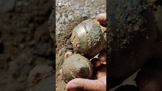 Gold Detector #golddetectors #metaldetecting #treasuresearch #metaldetector #treasuretrove