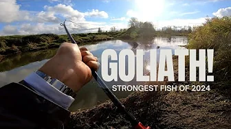 Salmon Fishing 2024 | Raw Footage | Chinook OR Chum?