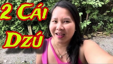 Đừng Xem Clip Này Nếu Đầu Óc Của Bạn Quá Trong Sáng ! Kể Chuyện cực Mạnh “ 2 Cái Dzú “ chịu sao Nổi?