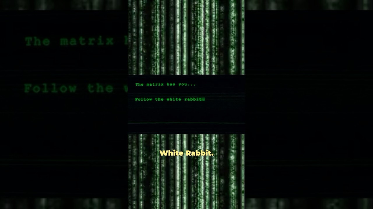 Follow the White Rabbit #matrix #coding #softwaredevelopment Follow the White Rabbit #matrix #coding #softwaredevelopment