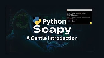 Python Scapy 101.  Ping / ICMP