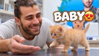 The Cutest Kitten I’ve Ever Examined! 😍 (Only 290 Grams!) screenshot 1