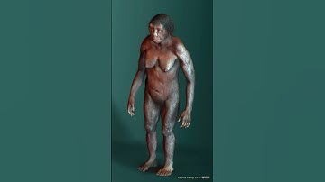 Hobbits and Dwarves Actually Existed