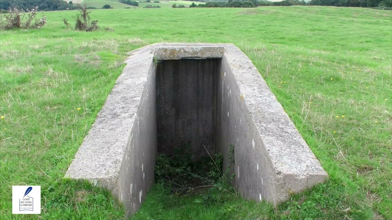 visite des arborglyphes de vittefleur 2019