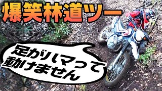 【爆笑】セローで行く爆笑林道ツーリング。オフロードバイクは楽しいぞ！【エンデューロ】