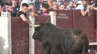 😱 TORO BRAVO SALE A LA PLAZA CON MUCHA FUERZA BELMONTE DE TAJO (MADRID ESPAÑA) 2022