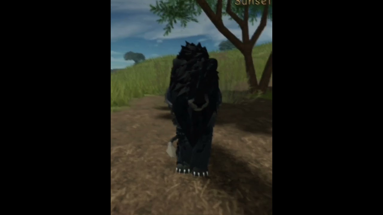 💢!! | a lions pride roblox | 