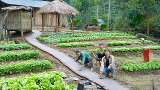 The whole family worked together, built a concrete road, and entered the house, survival alone