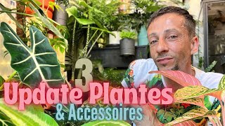 #33-Update Plantes [ épisode 3 ] Content / Pas content #plantaddict #plants 🪴