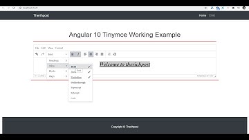 Angular 10 Tinymce Working Tutorial