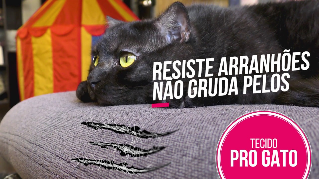 Tecido PRÓ-GATO! Impermeável, não gruda pelos e resiste a arranhões. Só na Seu Sofá.