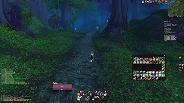 [No Mic] World of Warcraft: WOTLK - Hardcore - Paladin - Day 2