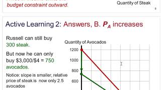 Consumer Theory: budget constraint, indifference curve and consumer equilibrium
