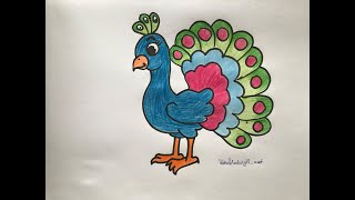 How To Draw Peacock Tovuzquşu Necə Çəkilir Tavus Kuşu Nasıl Çizilir