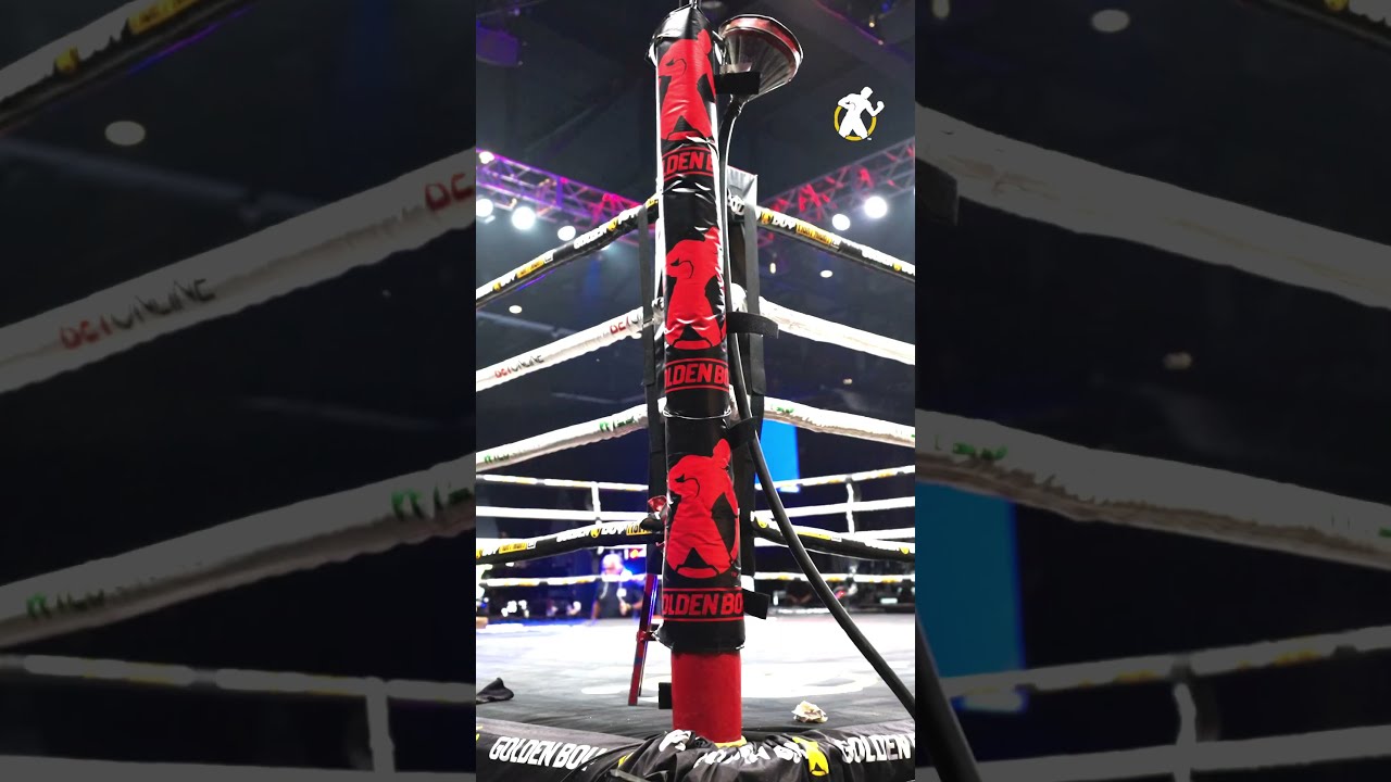 Streaming NOW Catch The Action LIVE 