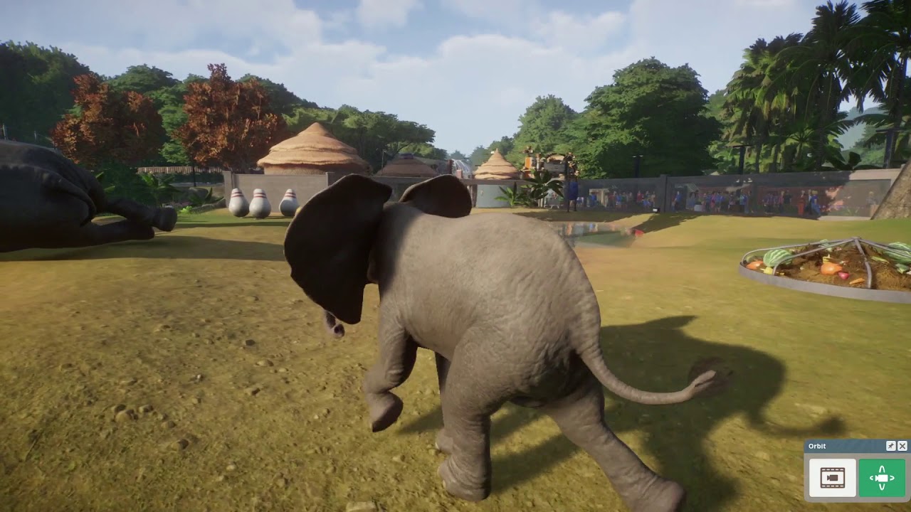 Planet Zoo - Quick look at the tutorial animals - YouTube