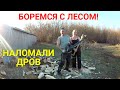 Пилим деревья вдоль забора. Запасаемся дровами.