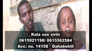 Qadro Daahir Maxamed