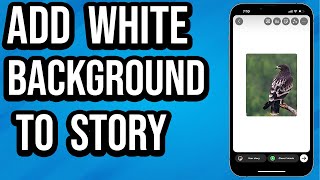 How To Put A White Background On Instagram Story