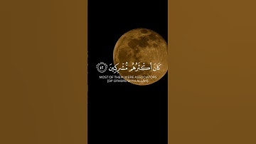 تلاوة خاشعة ومؤثرة للشيخ ياسر الدوسري