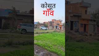 कसत गव Gaon