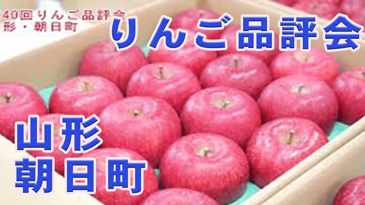 【山形県朝日町】厳選‼りんご品評会令和２年度