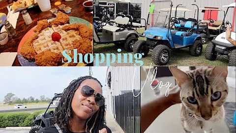 Day In The Life Ep 8 | Golf Cart Shopping + Our Ca...