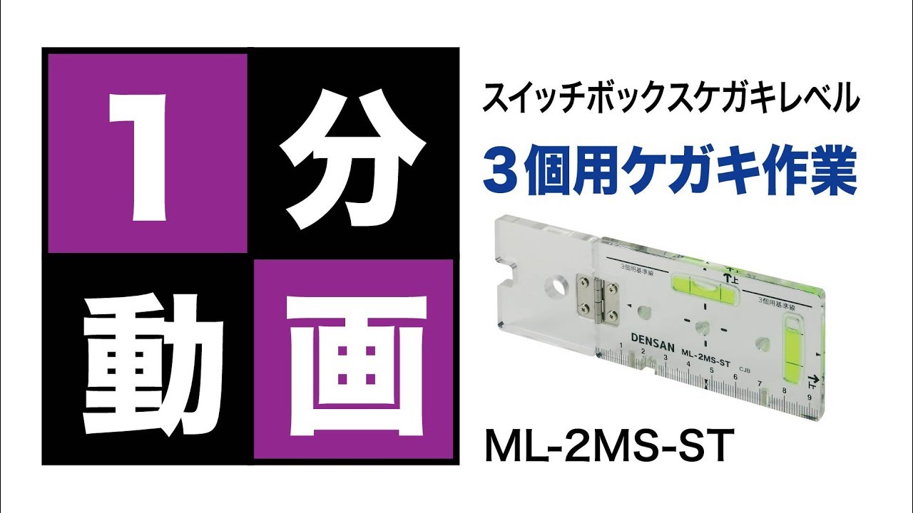 ML-2MS-ST スイッチボックスケガキレベル(3個用対応) 1個 ジェフコム(DENSAN) 【通販モノタロウ】