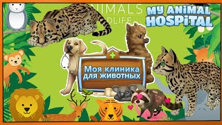 🟢🟡🟠🔵🔴 Лечим животных МОЯ КЛИНИКА ДЛЯ ЖИВОТНЫХ My animals hospital Игра Game screenshot 4