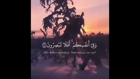 تلاوة هادئة من سورة الذاريات
