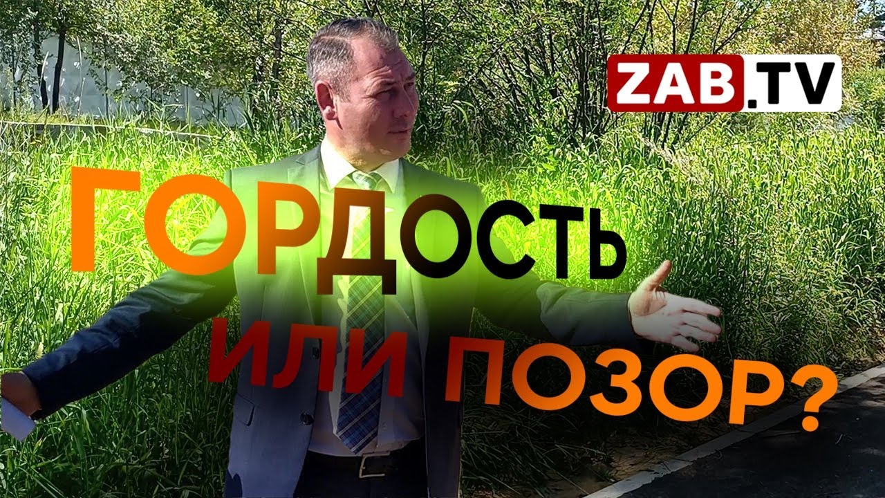 Нескошенная трава. Гордость или позор сити-менеджера Сапожникова. - YouTube