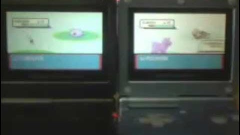 [ISHC] LIVE SHINY ZIGZAGOON 2086 ENCOUNTERS 2nd for hoenn bq!