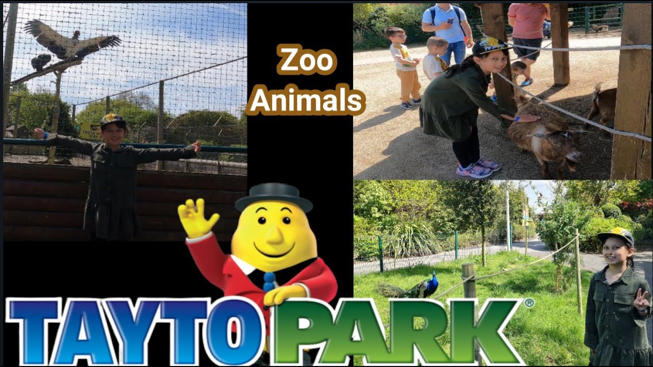 ZOO ANIMALS AT TAYTO PARK YouTube zoo-animals-at-tayto-park-youtube