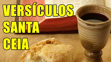 Qual parte da Bíblia fala sobre a Santa Ceia?