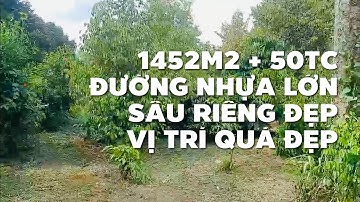 Vợ chồng về quê cần bán vườn sầu riêng rất đẹp ở Bà Rịa Vũng Tàu mặt tiền đường lớn