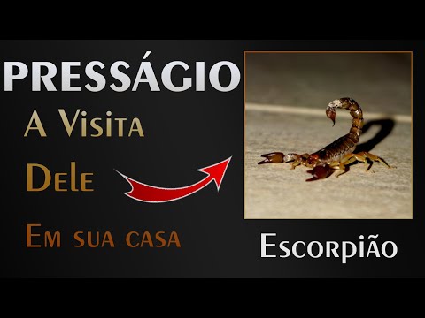 🏡 Presságio do Escorpião - Qual o Alerta que ele veio nos passar?